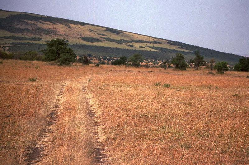 WT 1400 194-18 Kenya.jpg